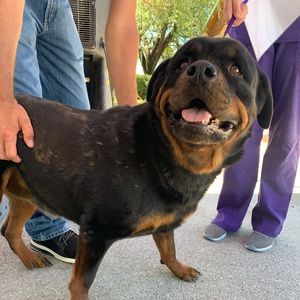 Meet your Posher, Emmy